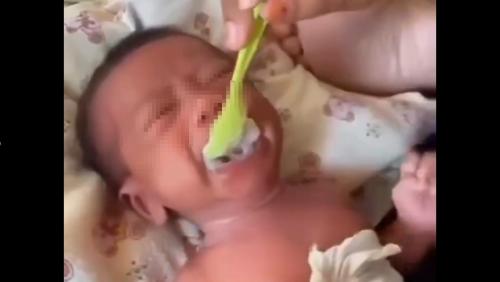 Viral Bayi 2 Minggu ...