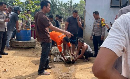 Tersangkut Jaring Ne...